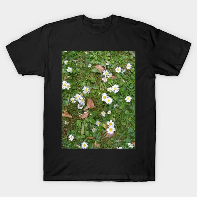 Summer-Day T-Shirt by mindprintz